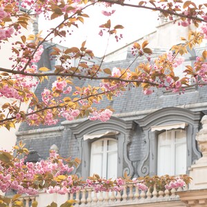 May include: A building with a grey slate roof and white windows is partially obscured by a branch of a tree with pink blossoms.