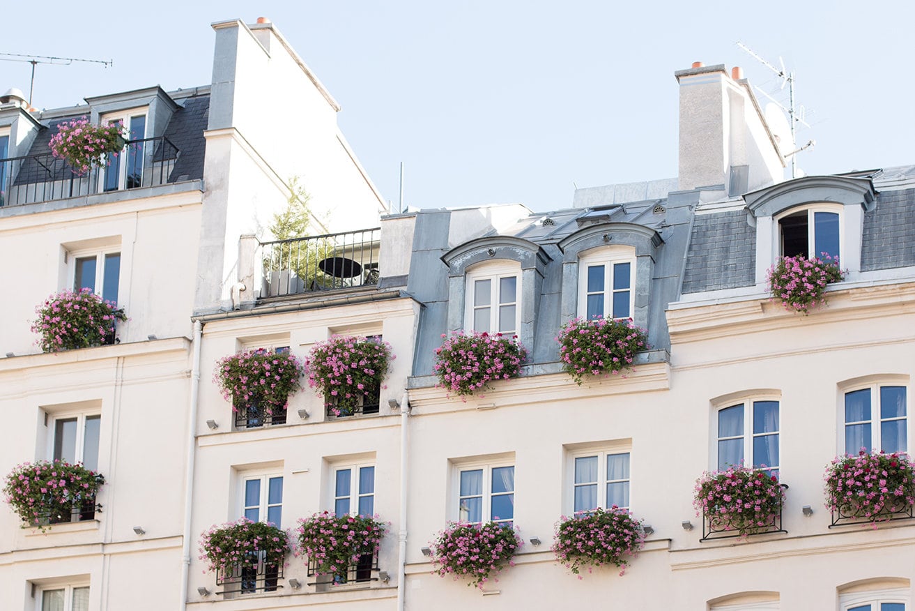Paris Photography, Balconies Paris St Pink Boxes, on Rooftops, Parisian Wall Balcony, Germain, Room Art Bathroom Living - Art, Etsy Flower Pink