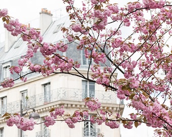 Paris Photography, Parijs appartement in het voorjaar, Cherry Blossom Seizoen, Pretty in Pink, Parijs in de Lente Foto, Paris Home Decor