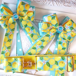 Equestrian Hair bows, Aqua Horse show bows with optional matching belt, Lead line show bow, Fancy hair bows, Bows for horse Shows
