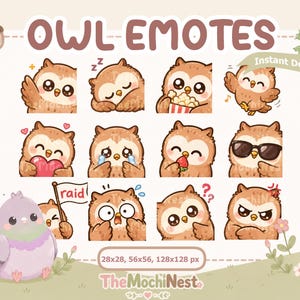 Puede incluir: Una colección digital de doce emoticonos de búhos marrones y un personaje de paloma morada. El texto dice OWL EMOTES, Instant Download y TheMochiNest. Hay iconos de Twitch, YouTube y Discord, junto con los tamaños 28x28, 56x56, 128x128 px.