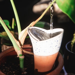 Vuvu Ceramic Olla - Up to 14 days of sustainable self-watering for your plants! Handcrafted in Slovenia.