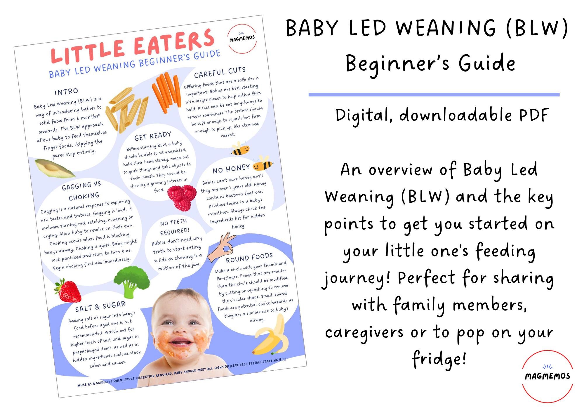 Little Eater Feeding Time Table For Month Baby Baby Led Weaning