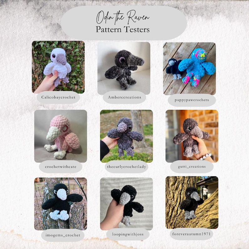 Puede incluir: Una colecci&oacute;n de mu&ntilde;ecos de cuervo de ganchillo hechos a mano en varios colores, incluyendo gris, rosa y azul. La imagen presenta el texto "Odin the Raven Pattern Testers" y muestra las creaciones de diferentes artesanos.