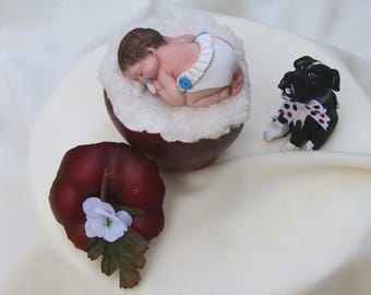 Apple of my Eye Cake Topper, Apple of my Eye Celebration Decor, Apple Theme Baby Shower