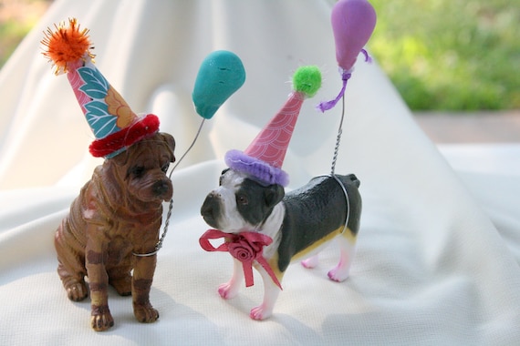 Balloon cone for dogs deals
