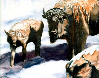 Buffalo art print, buffalo print wall art, buffalo watercolor, buffalo wall art, bison print, wildlife prints, giclee print watercolor