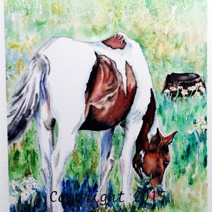 Peinture cheval, peinture aquarelle cheval, peinture originale cheval, art mural cheval, oeuvre d&#39;art cheval, décoration cheval, cadeaux cheval, peinture équine
