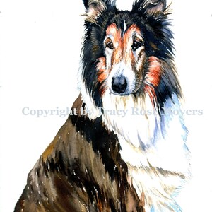 Collie Dog Open Edition giclee print by Tracy Rose Moyers