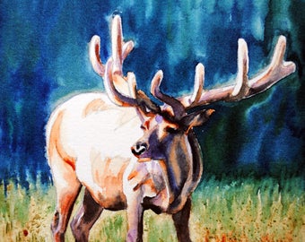 Elk watercolor, Elk painting, Elk art, watercolor art, original watercolor painting, wildlife painting, wildlife art, wildlife watercolor