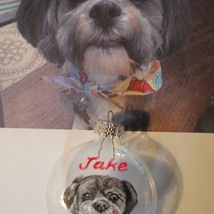Handpainted Pet ornaments-custom pet ornaments-pet image 3