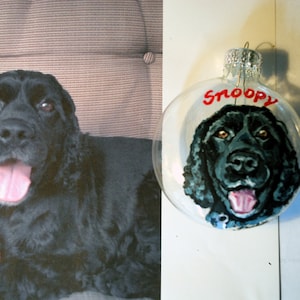 Handpainted Pet ornaments-custom pet ornaments-pet image 1