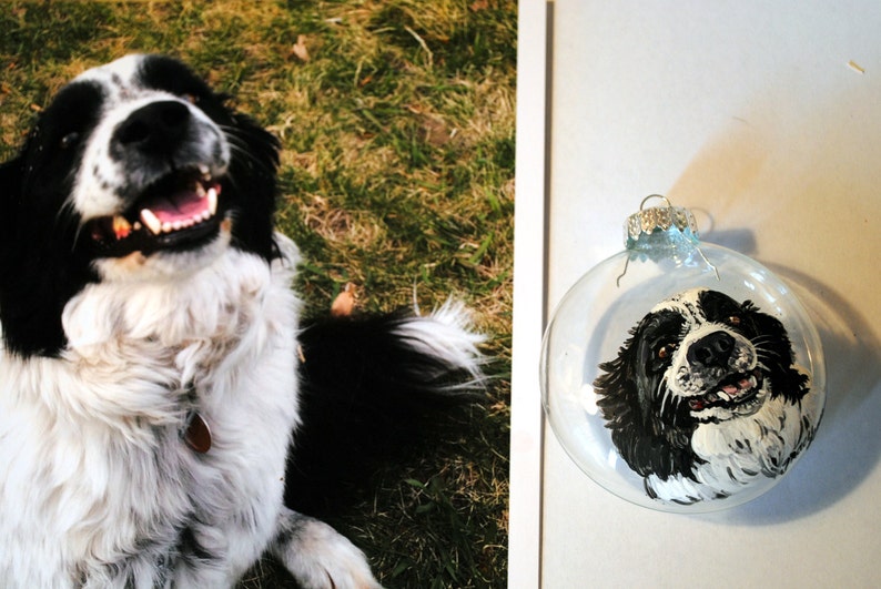 Handpainted Pet ornaments-custom pet ornaments-pet image 2