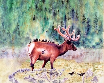Elk art, Elk print, Elk wall art, wildlife wall art, Yellowstone National Park, wildlife prints, wildlife painting, watercolor print,
