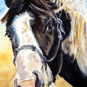 Horse Art Print, Horse Art painting, Horse print, Equine art, Equine print, Equine painting, watercolor painting, giclee print, black/white