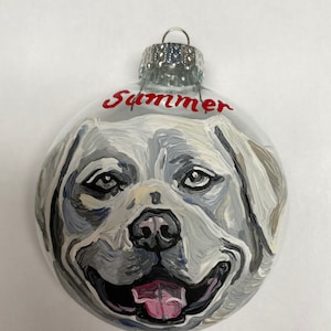 Handpainted Pet ornaments-custom pet ornaments-pet image 8