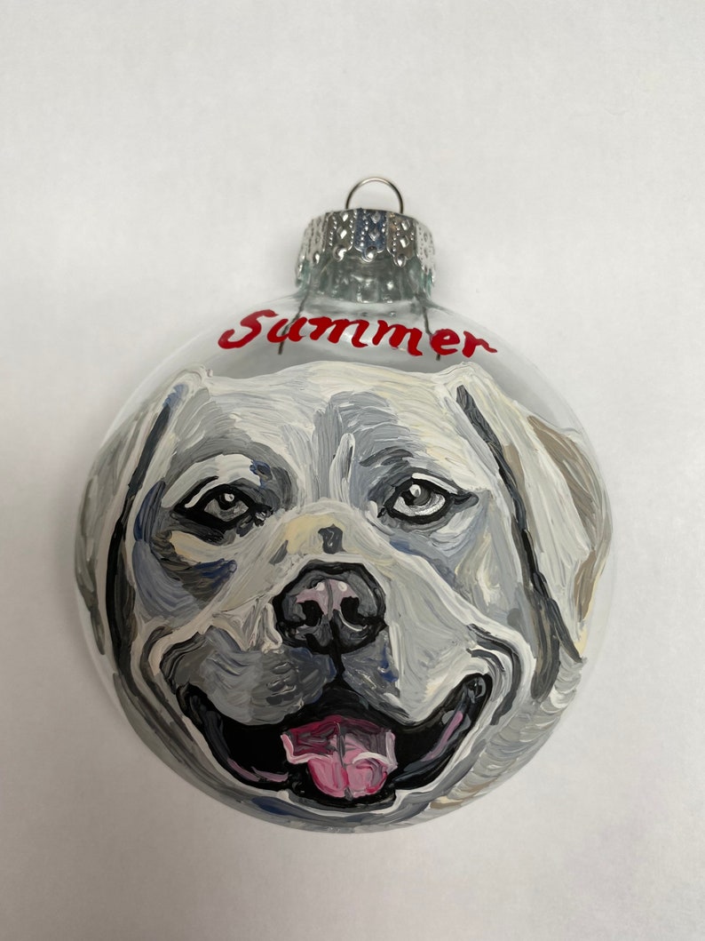 Handpainted Pet ornaments-custom pet ornaments-pet image 8
