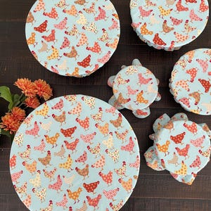 Bowl Covers Set of 6