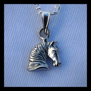 May include: Silver horse head pendant necklace. The horse head is detailed and has a textured mane. The necklace is on a silver chain.