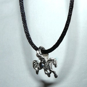 May include: A silver winged horse pendant on a black cord necklace.
