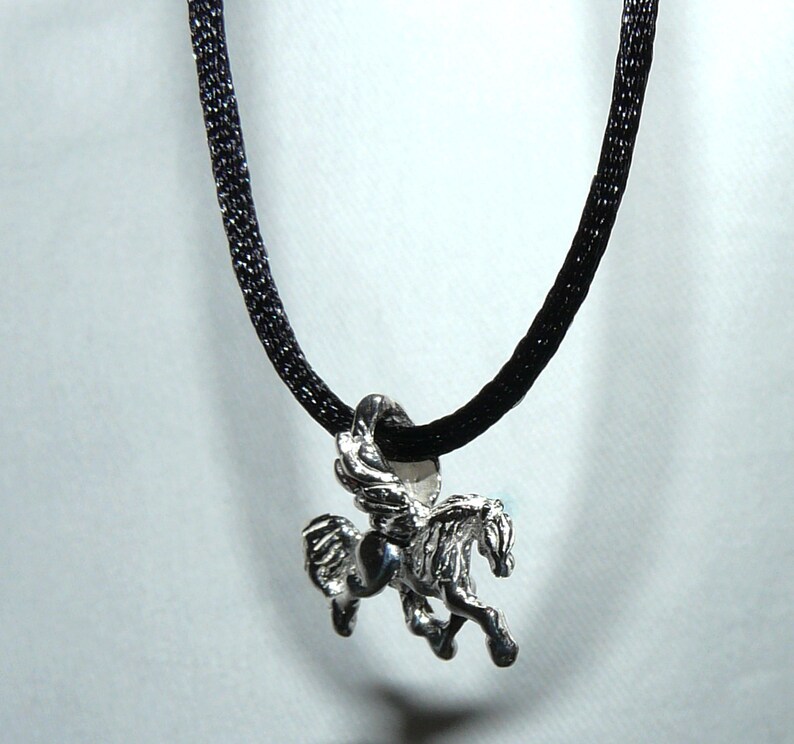 May include: A silver winged horse pendant on a black cord necklace.