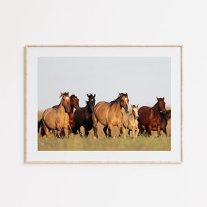 Horse Poster, Horse, Horse Wall Art, Bedroom Decor, Home Gift, Office Decor, Birthday Gift, Animal Print, Bathroom Decor, Photo Wall Art