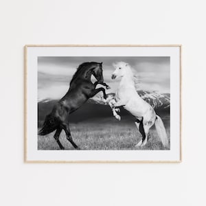 Horse Poster, Horse, Horse Wall Art, Bedroom Decor, Home Gift, Office Decor, Birthday Gift, Animal Print, Bathroom Decor, Photo Wall Art