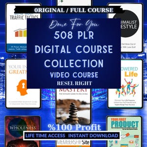 508 PLR/MRR Video Courses: Passive Income, Marketing, E-Learning (Digital Download)