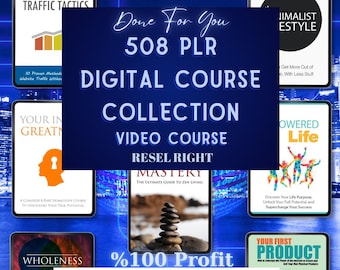 508 PLR/MRR Video Courses: Passive Income, Marketing, E-Learning (Digital Download)