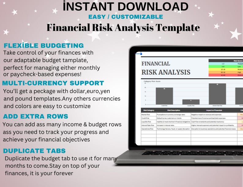 Financial Risk Analysis Template, Editable Google Sheets, Digital ...