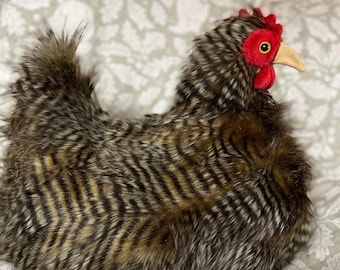 Greta Goldwing the House Chicken