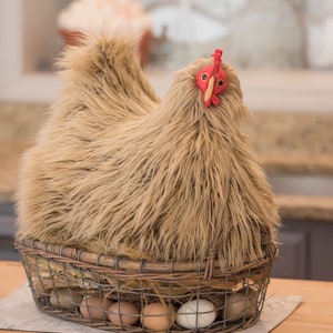 Your Very Own House Chicken