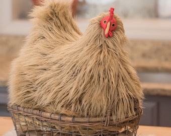 Your Very Own House Chicken