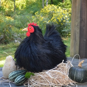 Your Very Own House Chicken