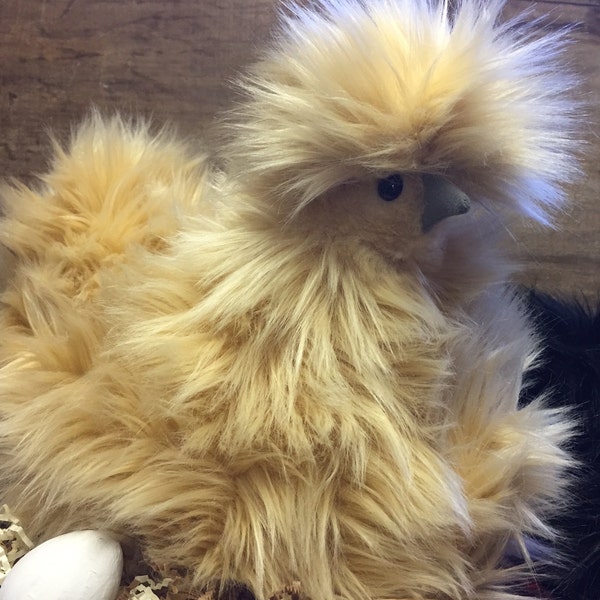 Votre propre poulet maison