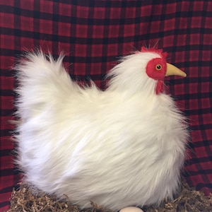 Your Very Own House Chicken
