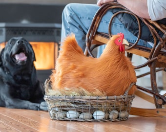 Your Very Own House Chicken