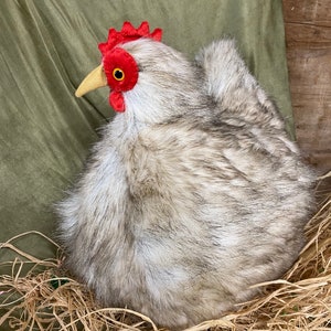 Your Very Own House Chicken, Lotty Latte