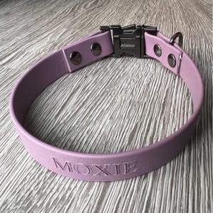 Personalized BioThane Dog Collar: Waterproof Non-Adjustable Engraved Name