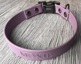 Personalized BioThane Dog Collar: Waterproof Non-Adjustable Engraved Name