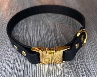 Personalized BioThane Dog Collar: Waterproof, Engraved Name