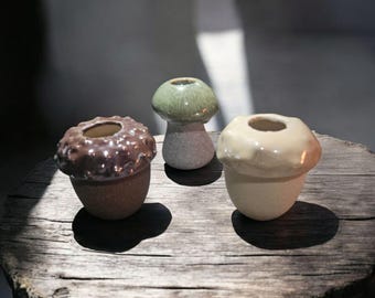 Acorn or Mushroom Air Plant Holder, Fall Decor