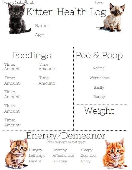 Should A Kitten Lady Feeding Chart Ivory Coat Inspired By Raw