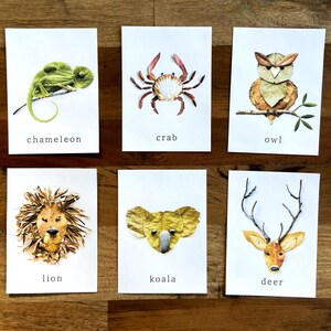 May include: Six cards with different animals made from natural materials. Each card has a white background and the name of the animal written in black at the bottom. The animals are a chameleon, crab, owl, lion, koala, and deer.