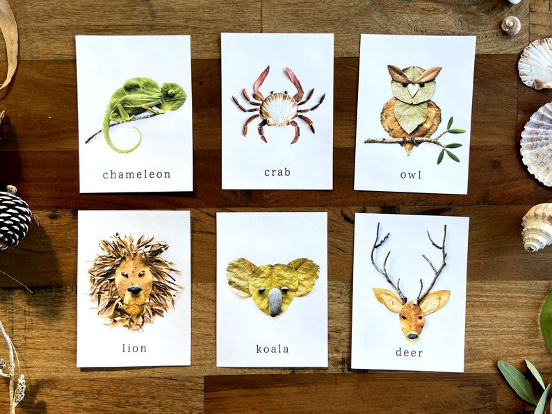 May include: Six cards with different animals made from natural materials. Each card has a white background and the name of the animal written in black at the bottom. The animals are a chameleon, crab, owl, lion, koala, and deer.