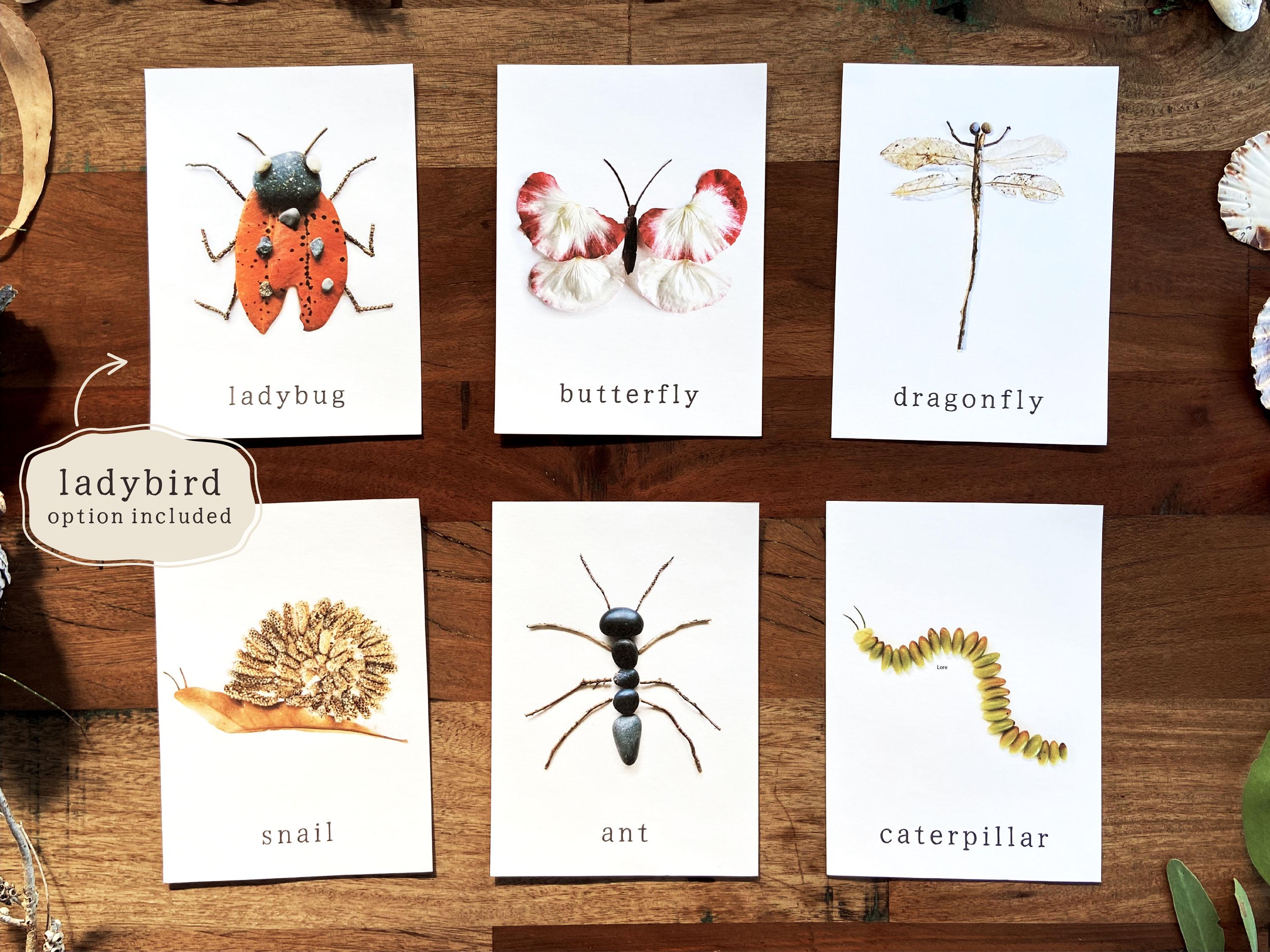 Provocation Card Example Minibeast Nature Loose Parts Play Provocation Cards | Insects Printable ...