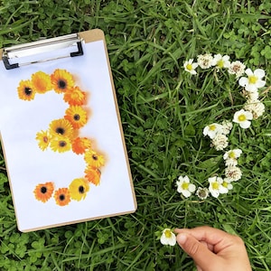 Pode incluir: Uma prancheta com o n&uacute;mero 3 formado por flores laranja e amarelas. O n&uacute;mero 3 tamb&eacute;m &eacute; formado por flores brancas na grama. Uma m&atilde;o segura uma pequena flor branca.