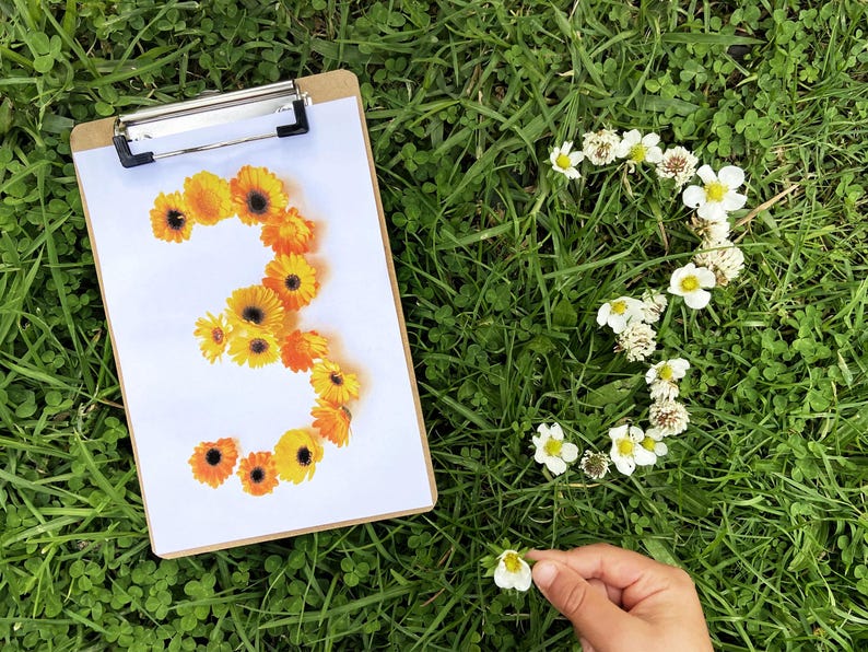 Pode incluir: Uma prancheta com o n&uacute;mero 3 formado por flores laranja e amarelas. O n&uacute;mero 3 tamb&eacute;m &eacute; formado por flores brancas na grama. Uma m&atilde;o segura uma pequena flor branca.