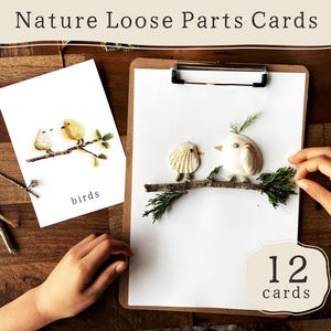 Nature Loose Parts Play Provocation Cards | Natural Materials Flashcards | Preschool Activity | Reggio | Montessori Forest School Classroom
