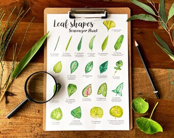 Leaf Shapes Scavenger Hunt, Printable Nature Activity for Kids, Outdoor Nature Walk Treasure Hunt, Science Study, Botany, Simple Leaf Shapes